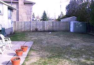 backyard patio.jpg