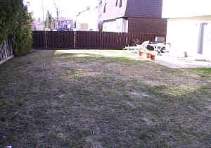 backyard.jpg