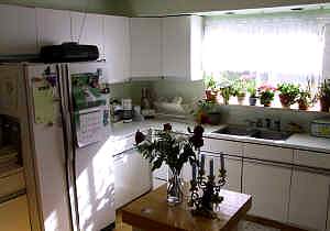 kitchen 1.jpg