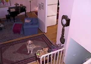 main hall kitchen entry and living room from upstairs.jpg